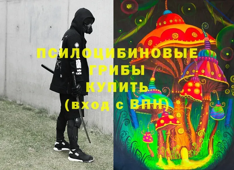 Галлюциногенные грибы Psilocybine cubensis  Колпашево 